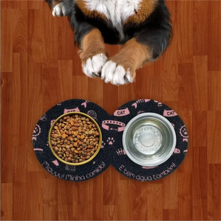 Comedouro Pet Cadê Minha Comida Coleira